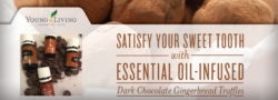 Dark Chocolate Gingerbread Truffles