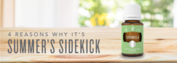 Citronella: 4 Reasons Why It’s Summer’s Sidekick