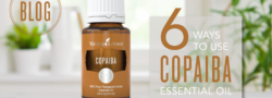 6 Ways to Use Copaiba Essential Oil