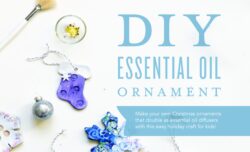 DIY Essential Oil Ornament