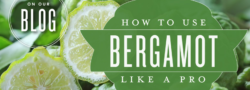 How To Use Bergamot Like A Pro
