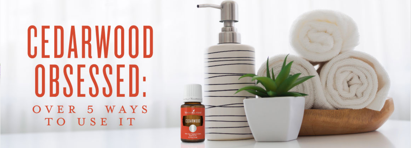 Cedarwood Obsessed: Over 5 Ways to Use It - Vital 180 Community