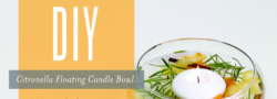 DIY Citronella Floating Candle Bowl