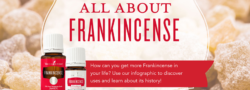All About Frankincense