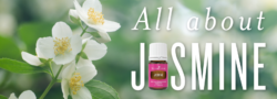 All About Jasmine