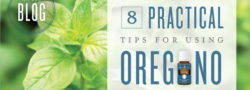 8 Practical Tips For Using Oregano