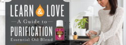 A Guide to Purification Essential Oil Blend