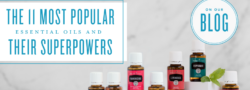 The 11 Most Popular Essential Oils and Their Superpowers