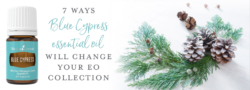 7 Ways Blue Cypress Essential Oil Will Change Your EO Collection