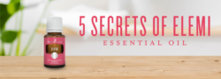 5 Secrets Of Elemi Essential Oil