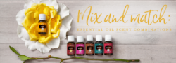 Mix And Match: Essential Oil Scent Combinations