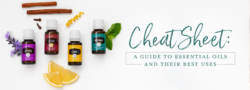 Cheat Sheet: A Guide To Essential Oils And Their Best Uses