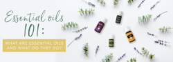 Essential Oils 101: What Are Essential Oils And What Do They Do?