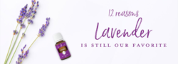 12 Reasons Lavender Is Still Our Favorite