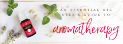 An Essential Oil User’s Guide To Aromatherapy