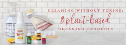 Cleaning Without Toxins: 8 Plant-Based Cleaning Products