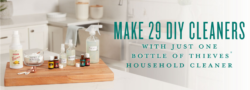 Make 29 DIY Cleaners With Just One Bottle Of Thieves Household Cleaner