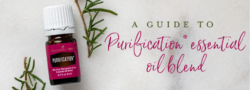 A Guide To Purification Essential Oil Blend