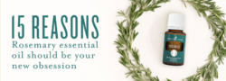 15 Reasons Rosemary Essential Oil Should Be Your New Obsession