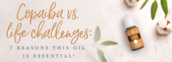 Cobaiba vs. Life Challenges: 7 Reasons This Oil Is Essential!