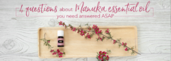 4 Questions About Manuka Essential Oil You Need Answered ASAP