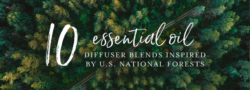 10 Essential Oil Diffuser Blends Inspired By U.S. National Forests