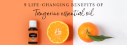 9 Life-Changing Benefits Of Tangerine Essential Oil