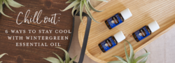 Chill Out: 6 Ways To Stay Cool With Wintergreen Essential Oil