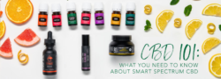 CBD 101: What You Need To Know About Smart Spectrum CBD