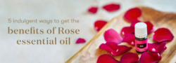 5 Indulgent Ways To Get The Benefits Of Rose Essential Oil
