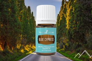 Essential Oil Spotlight: Blue Cypress