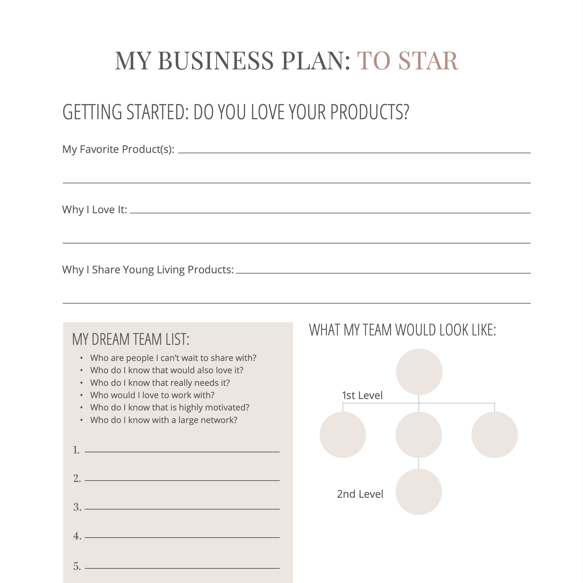 business plan star meaning