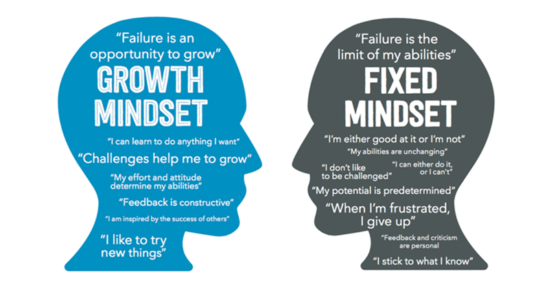 Mindset, The New Psychology of Success by Carol S. Dweck, PhD