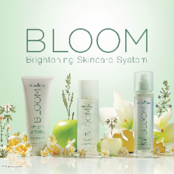 Bloom Collection – Easy Steps