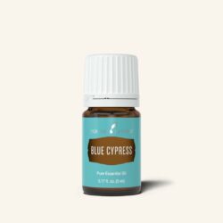 Blue Cypress – Lets Learn