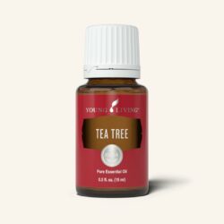Tea Tree – Lets Learn