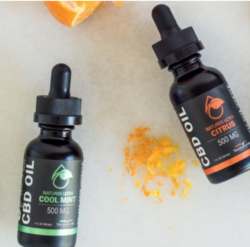 Which CBD Product Are You?