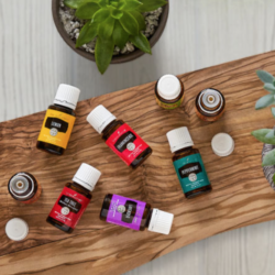 Pick YL’s top products to learn which oil you need next