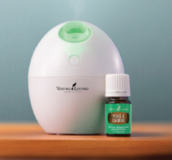 Meet Your Match: Find Your Perfect Diffuser