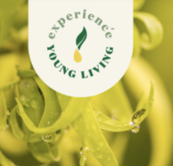 Experience Young Living