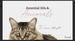 Animals 101: How To Use Essential Oils and Supplements With Our Pets