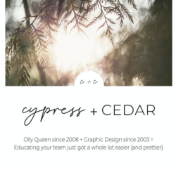cypress + cedar