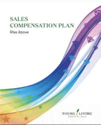 YL Compensation Plan Highlights Flyer