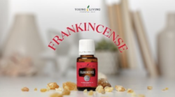 Frankincense A Treasure Throughout History