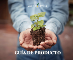 2024 Product Guide – Mexico