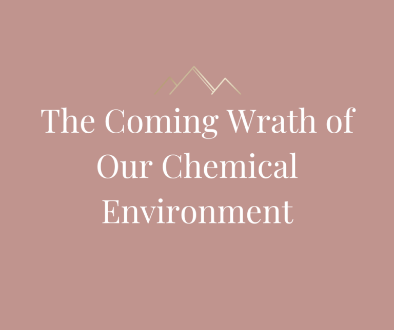 The Coming Wrath of Our Chemical Environment