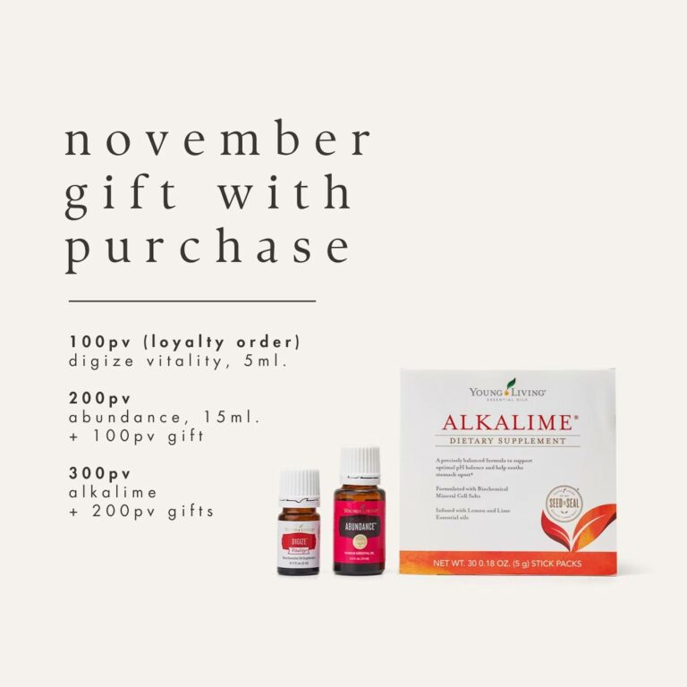 November Promo