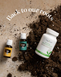 July Promo
