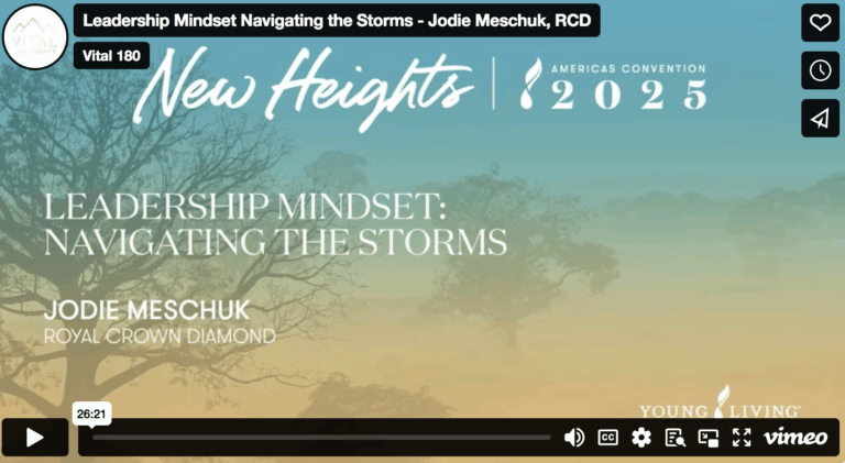 Leadership Mindset: Navigating The Storms