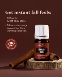 Cinnamon Bark